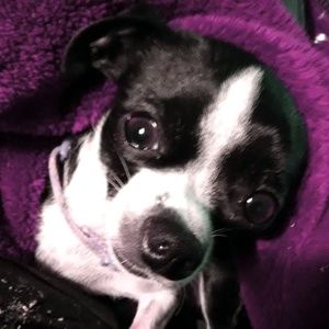 Meet your Posher, Gail